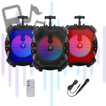 Altoparlante Bluetooth multifunzione con telecomando e microfono – ZQS-12109
