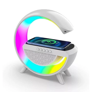 Altoparlante Bluetooth Multifunzione – holm8388