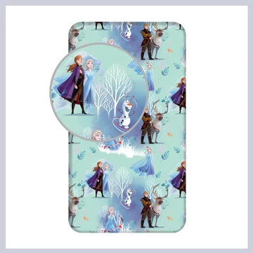 Disney Frozen coperta in spugna JFK034903