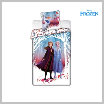 Microfibra Frozen Frozen biancheria da letto ZT-AYM-069FRZ-DV
