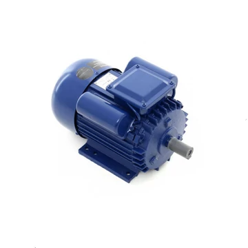 Motore Elettrico in Acciaio V153000