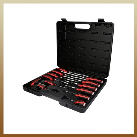 Set cacciaviti professionale 12 pezzi F Tools con valigetta | Modello Ftools-12reszes