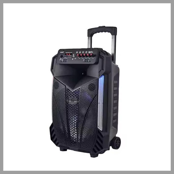 Cassa Bluetooth portatile Super Bass con ruote LT-1015