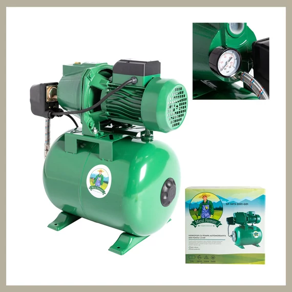 Pompa per acqua autoadescante in ghisa da 1,5 kW GF-1473