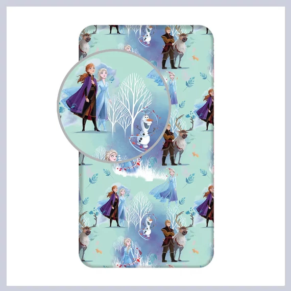 Disney Frozen coperta in spugna JFK034903