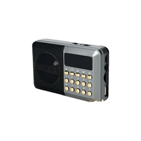 Radio portatile e lettore musicale COLDYIR CY-033